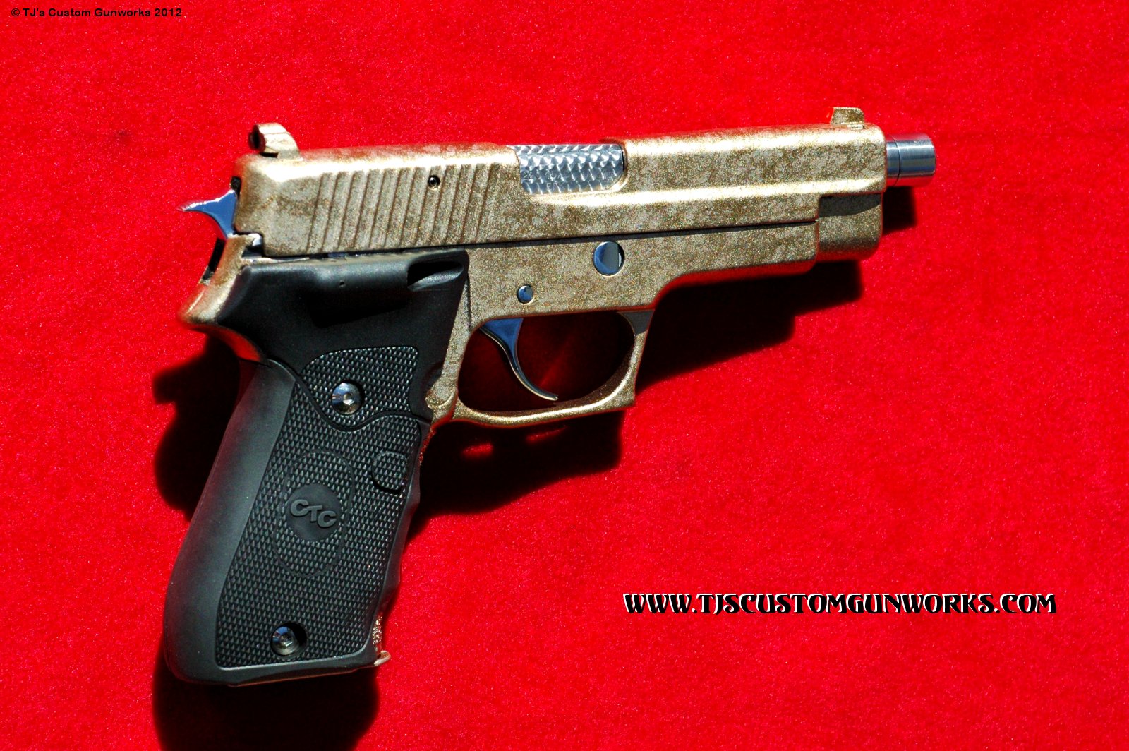 Exotic Custom Gold Marbled Sig Sauer P220 Duracoat! 1
