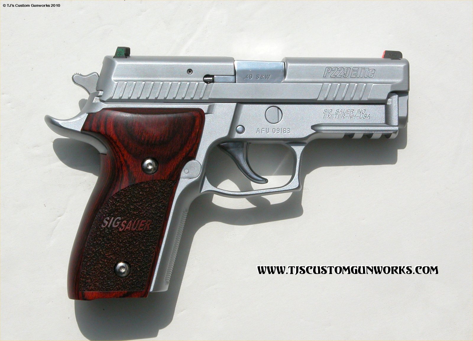 Custom Full Hard Chrome Sig Sauer P229 ELITE 1