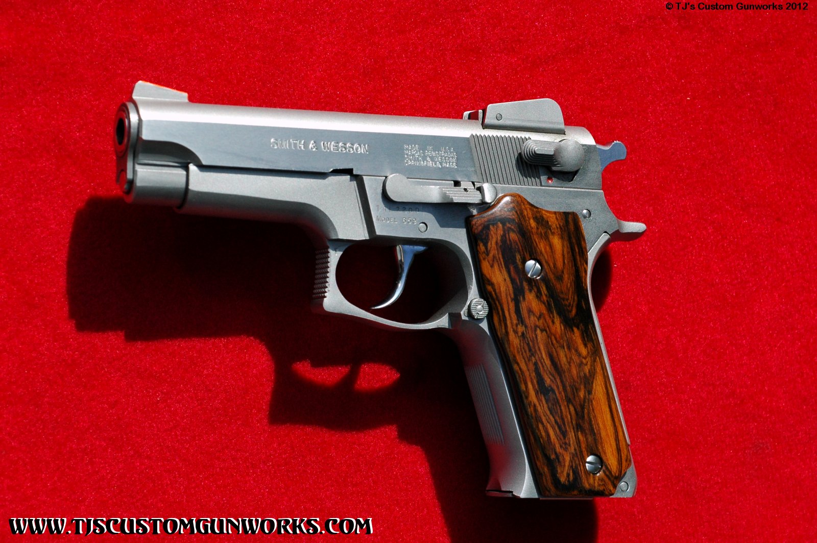 TJ's Custom Smith & Wesson 659 9mm 1