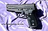 Sig Sauer P229 LH w/ SIG-SAFETY