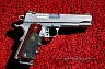Sig 1911 Stainless