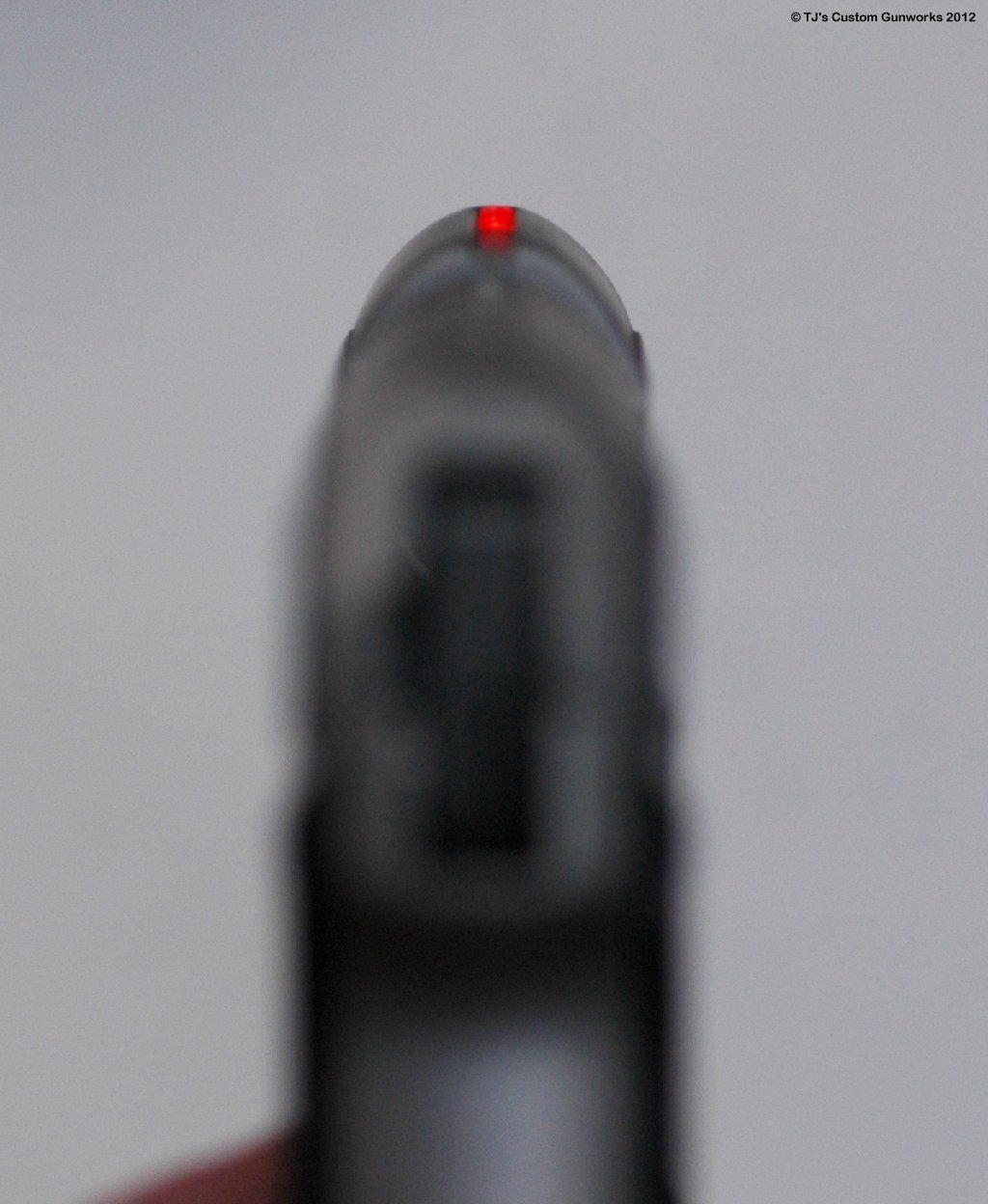 Custom AMT DA .45ACP Red Sight