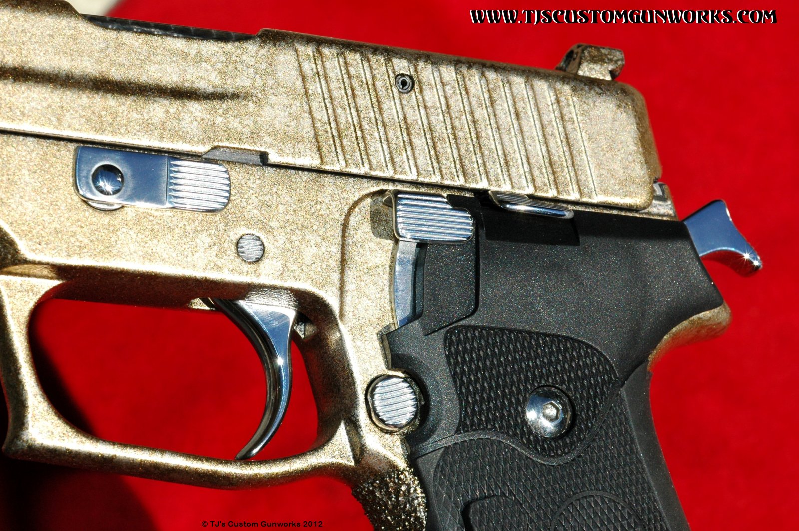 Exotic Custom Gold Marbled Sig Sauer P220 Duracoat! 4
