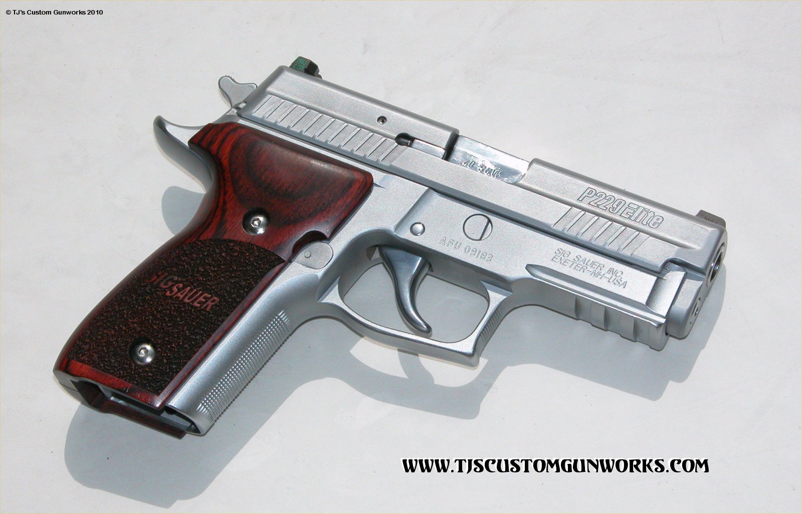 Custom  Hard Chrome Sig Sauer P229 ELITE 3