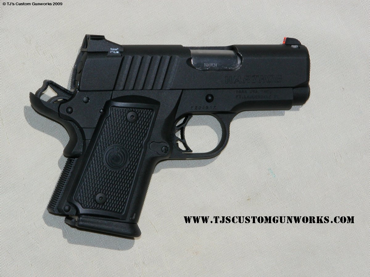 TJ Custom Black Teflon ParaOrd WartHog .45 2