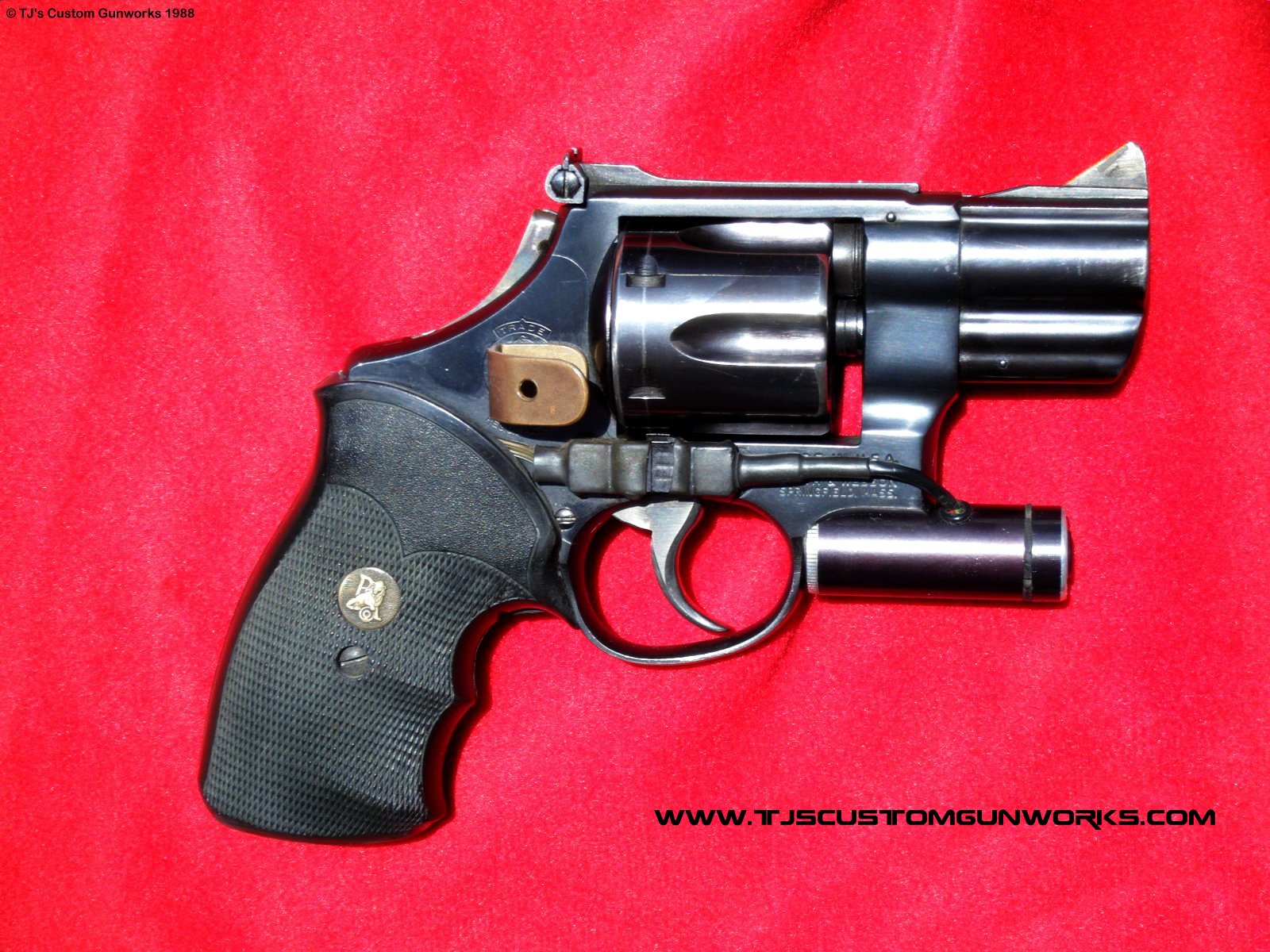 TJ's Custom S&W 25-5 .45 Long Colt Snubby  2