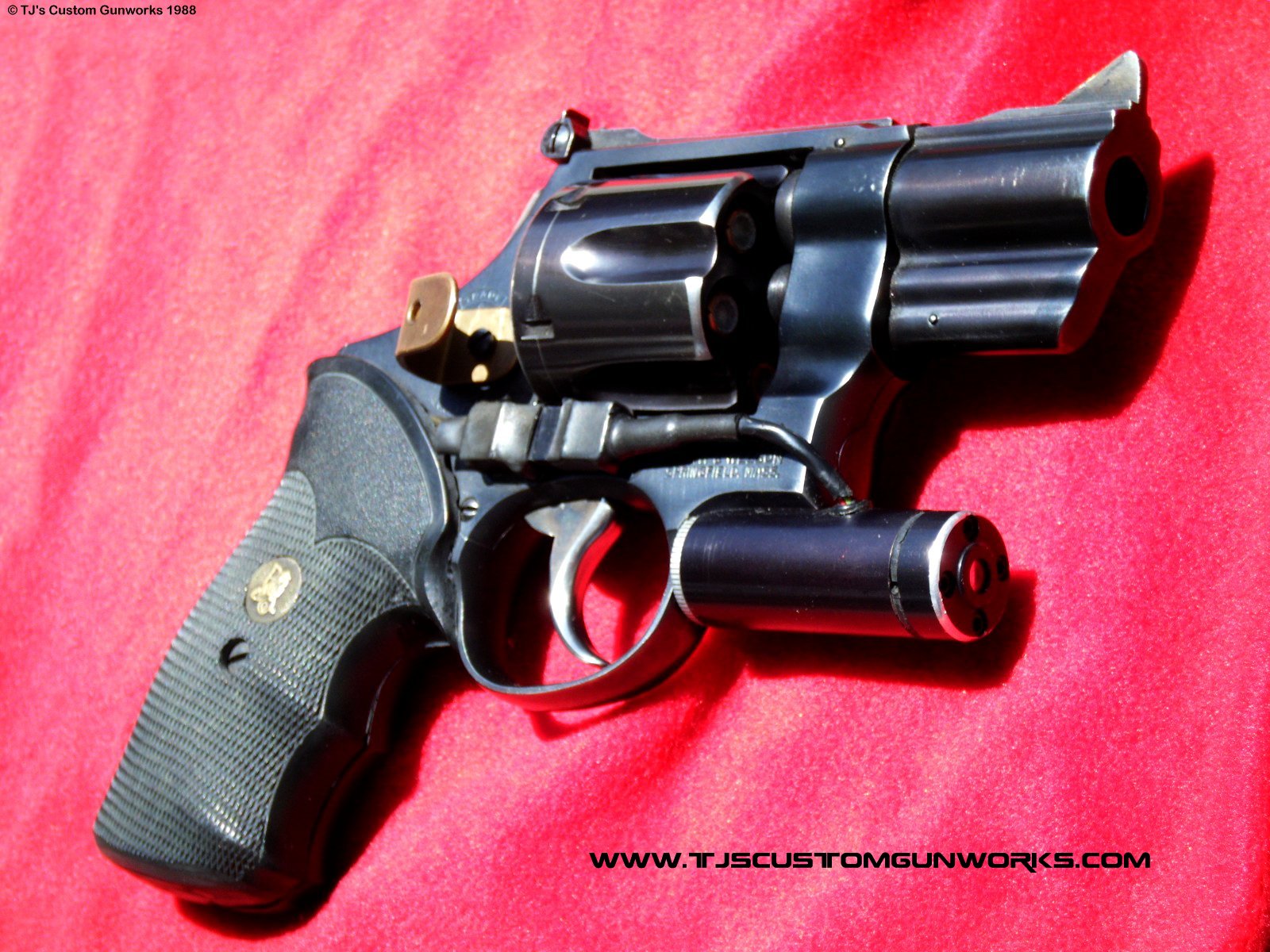 TJ's Custom S&W 25-5 .45 Long Colt Snubby  3