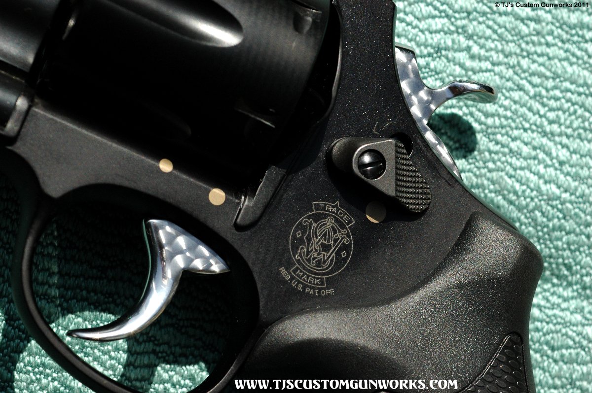 TJ's Custom S&W 329 2