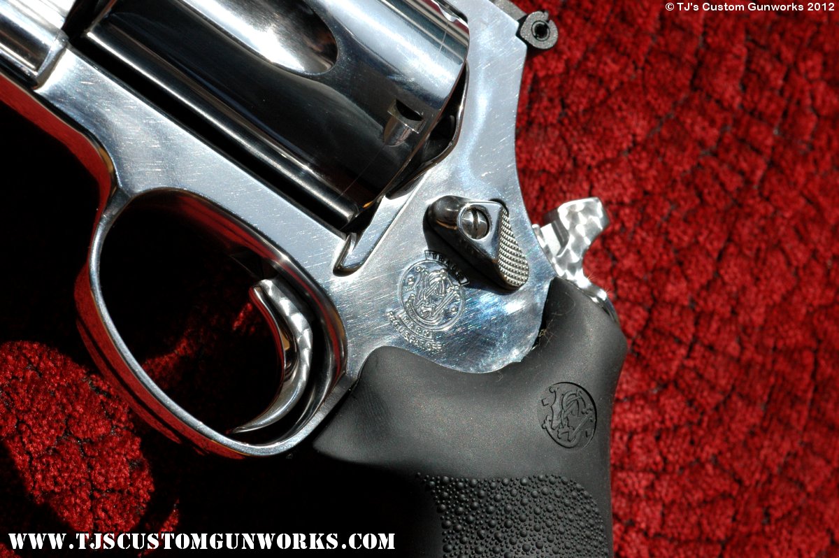 Custom S&W .500 Magnum 3