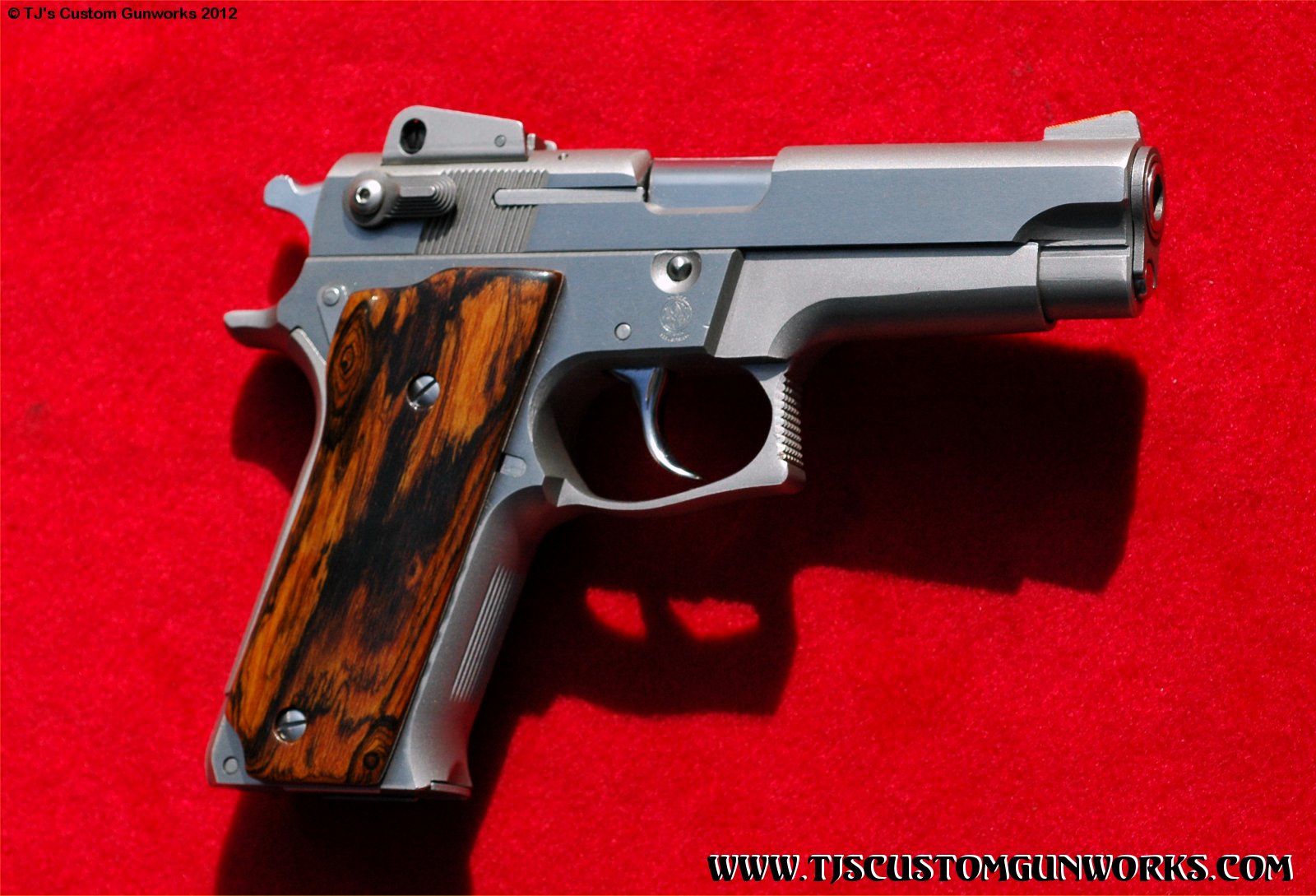 TJ's Custom Smith & Wesson 659 9mm 2