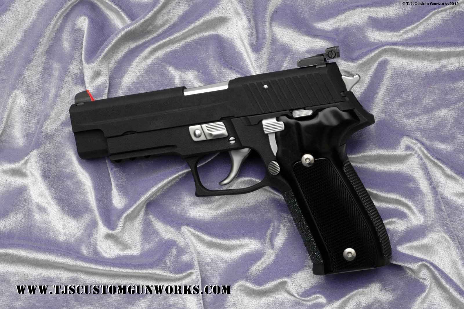 Custom Black Teflon Sig Sauer P226 2