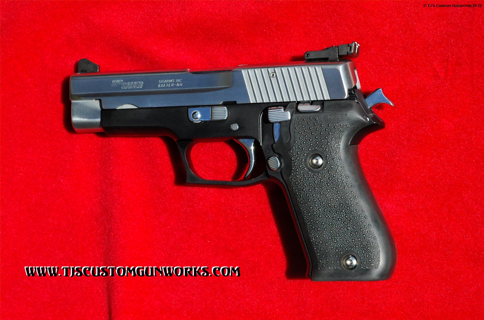 Custom 2-Tone Sig Sauer P220 With Millett Target Sights 4