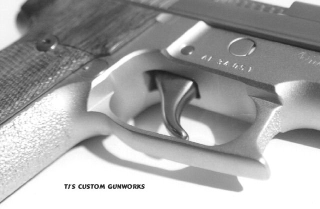 Custom 229 Trigger Guard & TJ Stainless Trigger