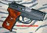 Sig 239 Custom