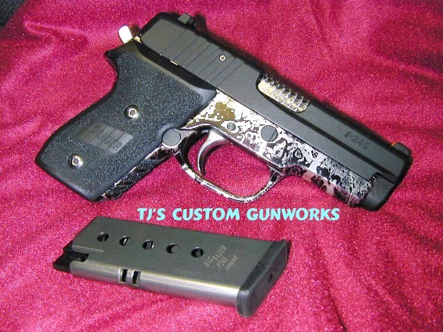 Sig P245 Silver & Black Frame