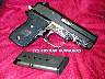 Custom Sig 245