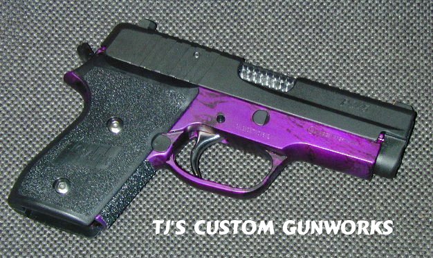Sig P245 w/ Purple & Black Frame