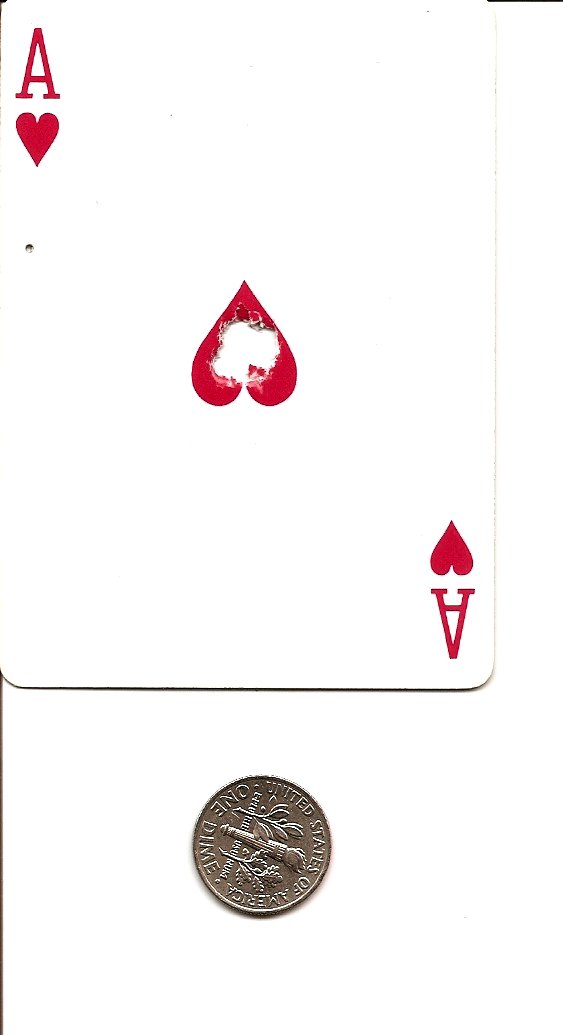 Custom Camo FX Vermy Airgun