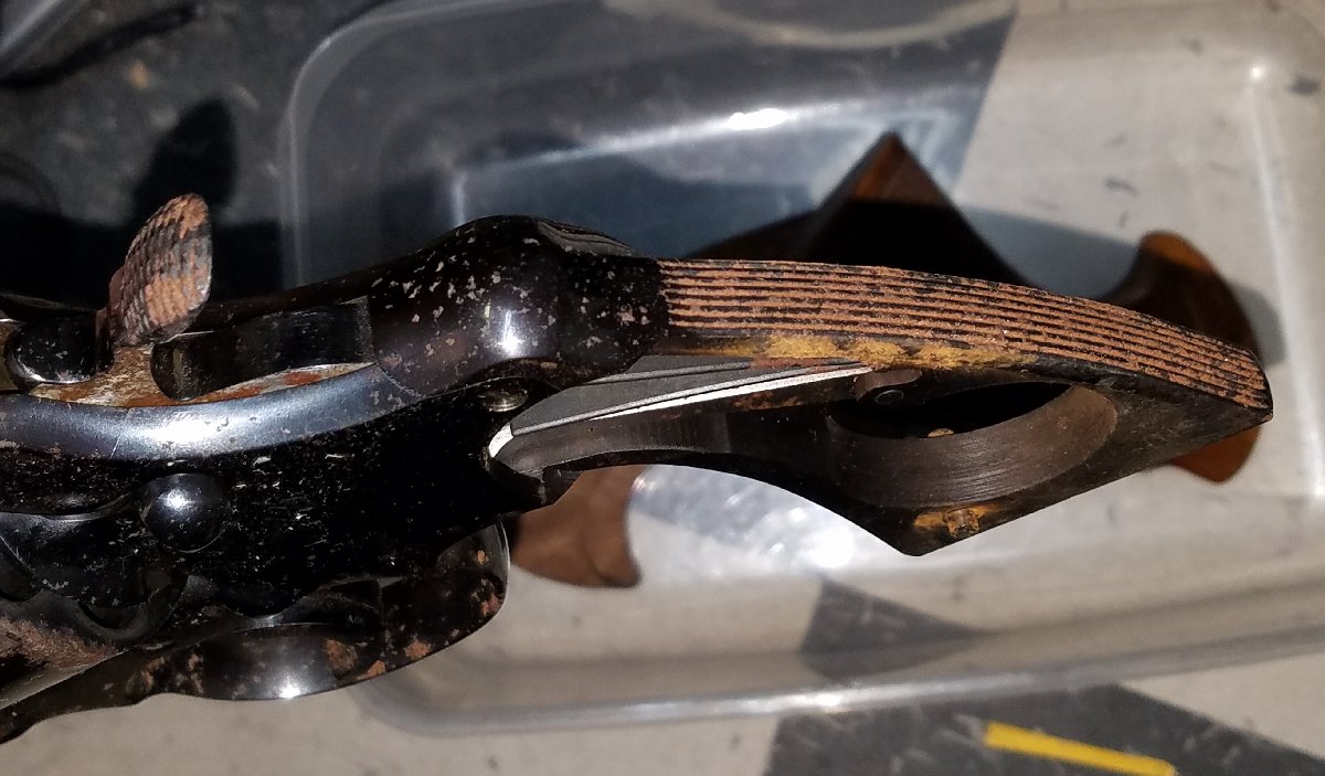 Rusted Colt Python BEFORE Black Teflon