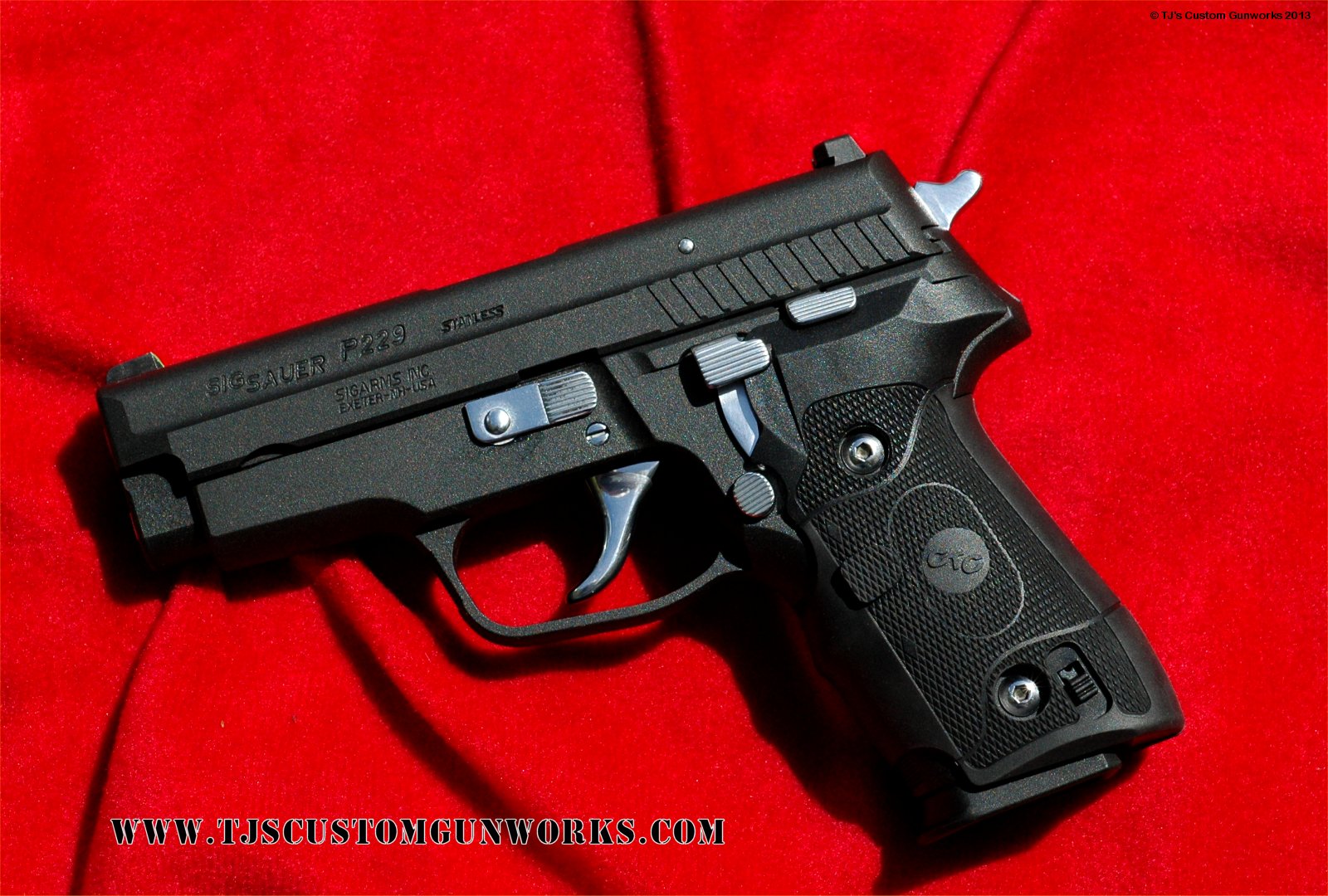 Full Custom Black Teflon Sig P229 40S&W