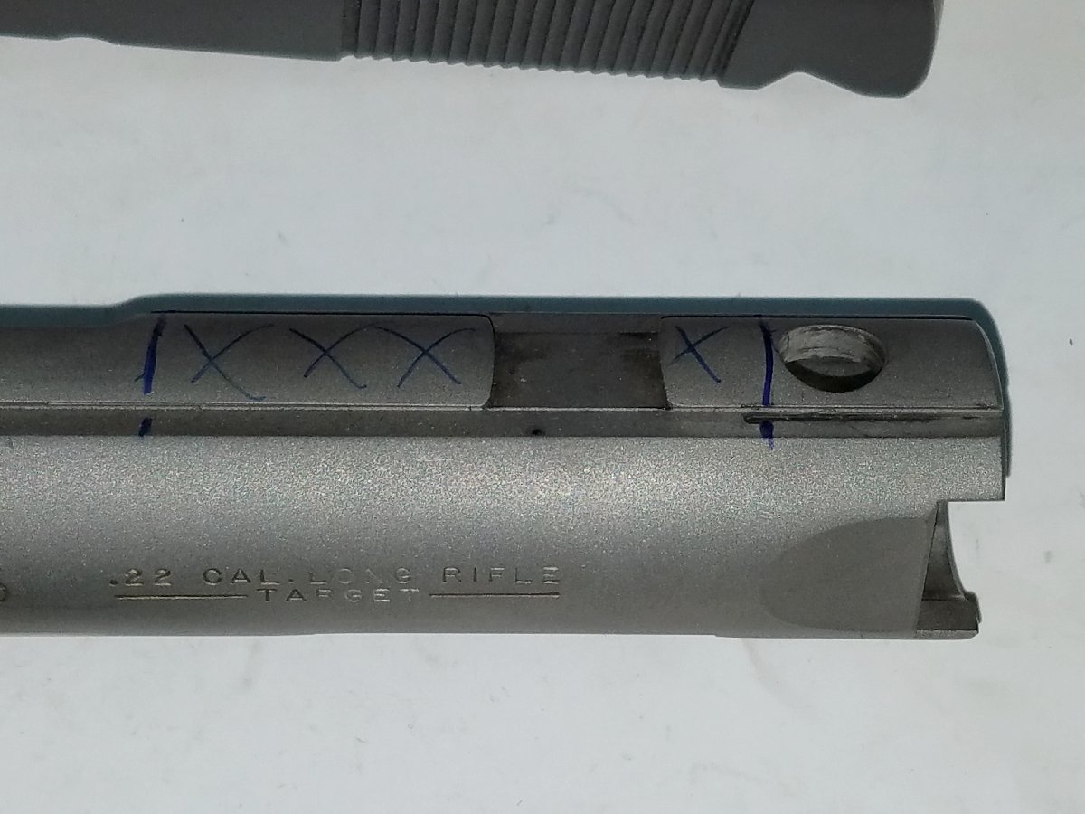 Custom Ruger 2245 .22 With Leupold Deltapoint Red Dot