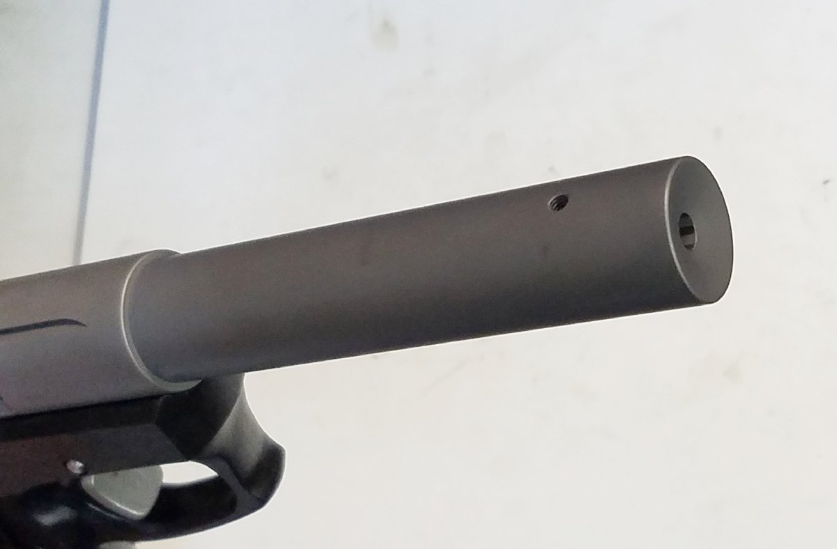 Custom Ruger 2245 .22 With Leupold Deltapoint Red Dot
