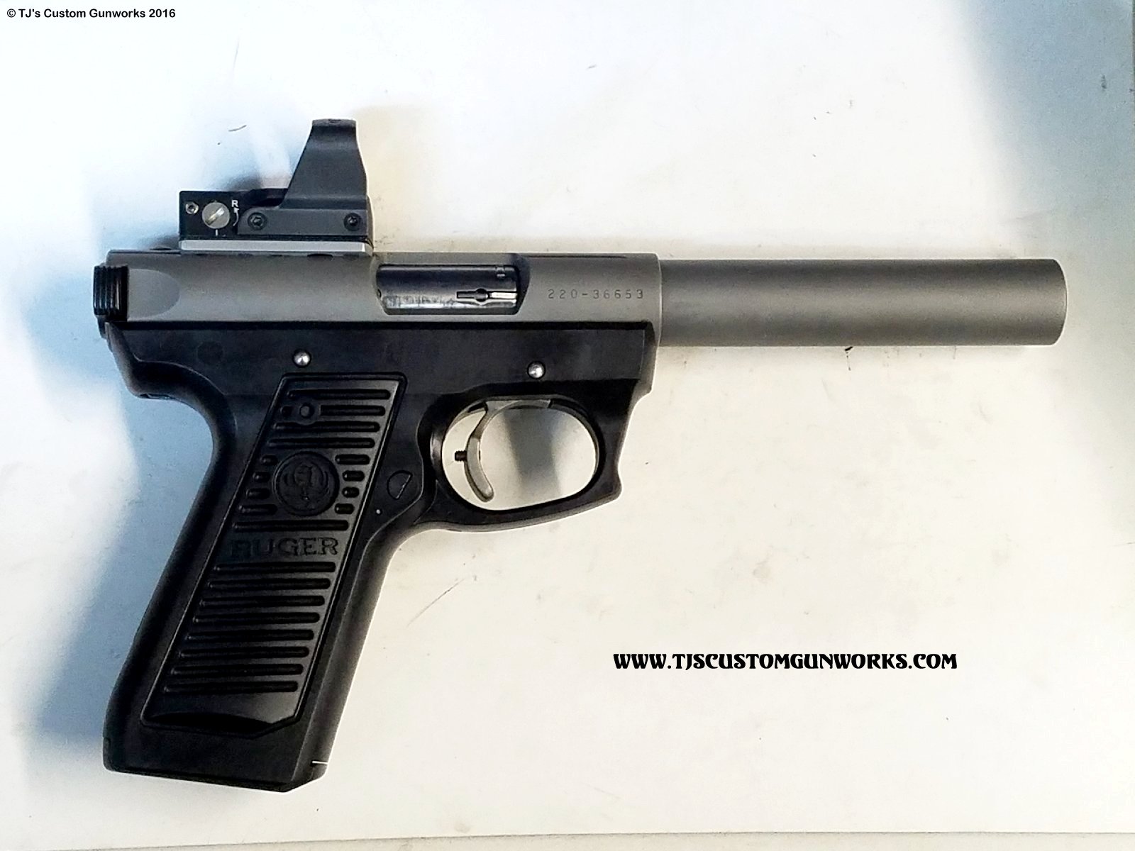 Custom Ruger 2245 .22 With Leupold Deltapoint Red Dot