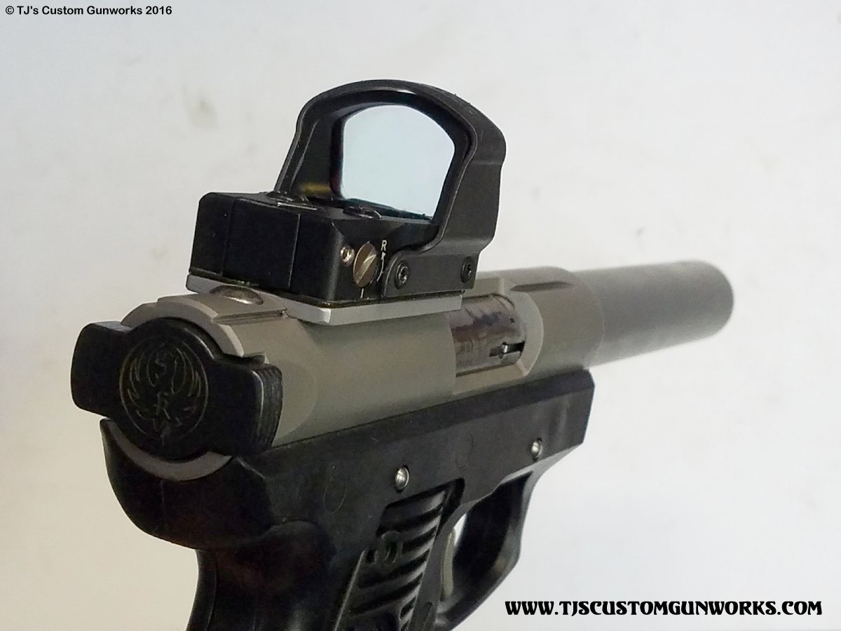 Custom Ruger 2245 .22 With Leupold Deltapoint Red Dot