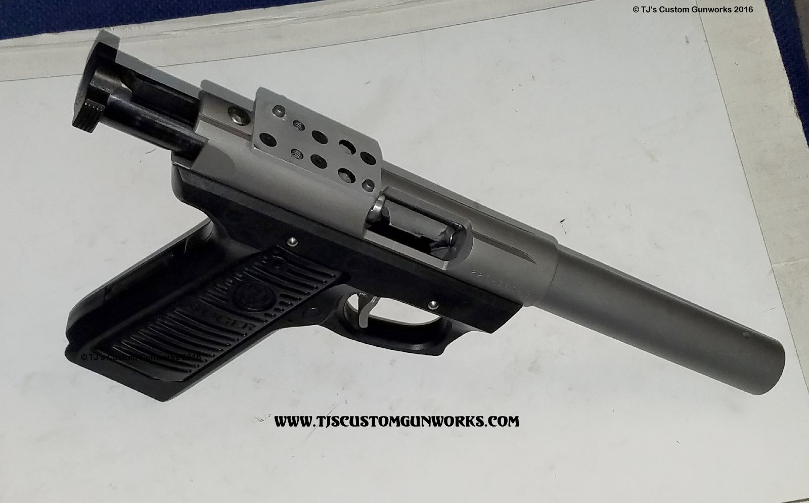 Custom Ruger 2245 .22 With Leupold Deltapoint Red Dot