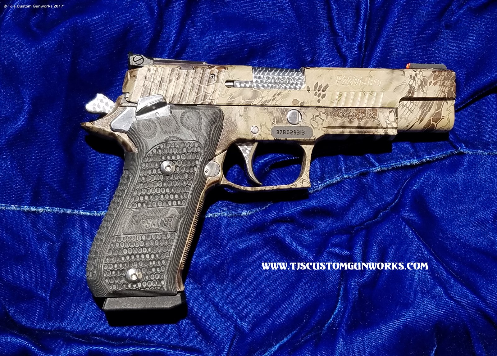 Custom Sig Sauer P220-10mm Snake Skin Coated