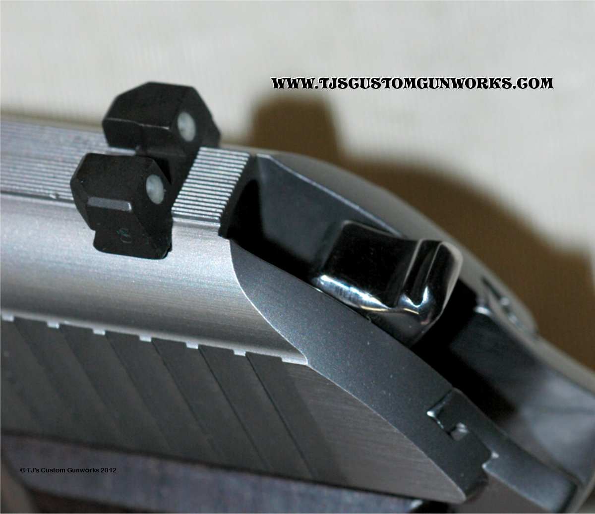 Custom Sig Sauer P230 Stainless with Meprolight Tritium Night Sights