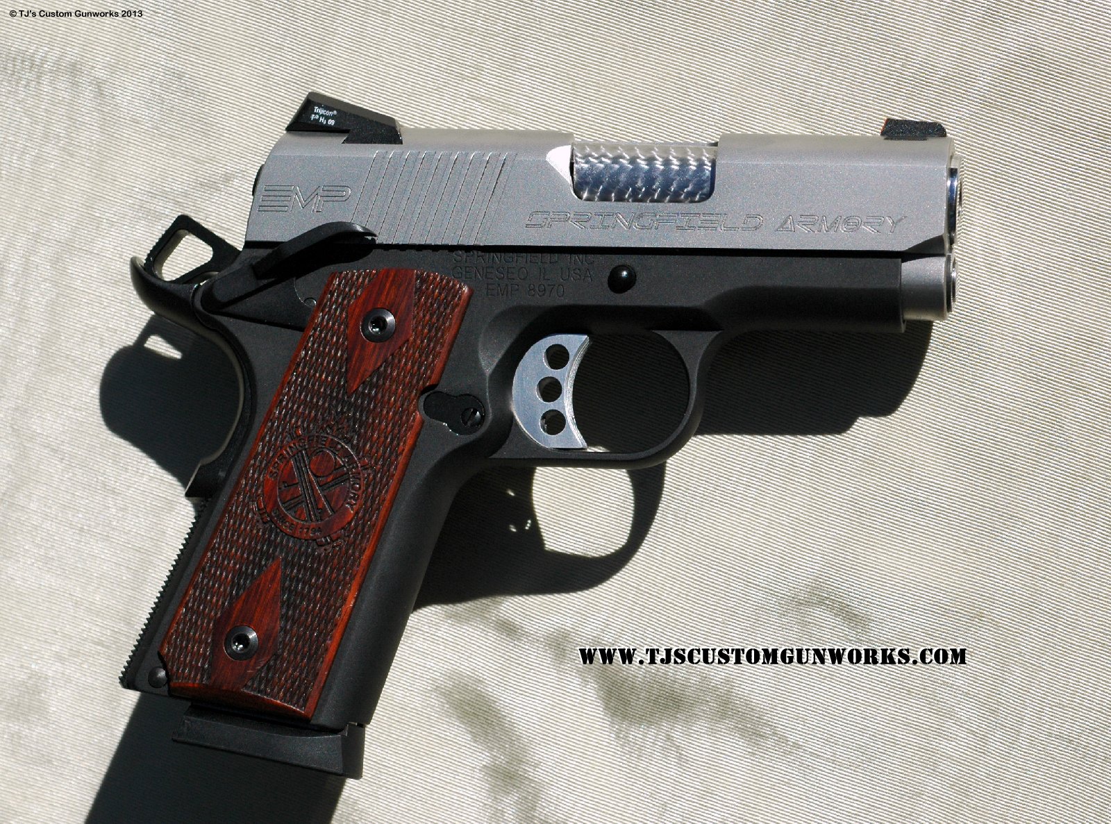Custom Springfield Armory EMP 9mm 2-Tone Ultra Compact 1911