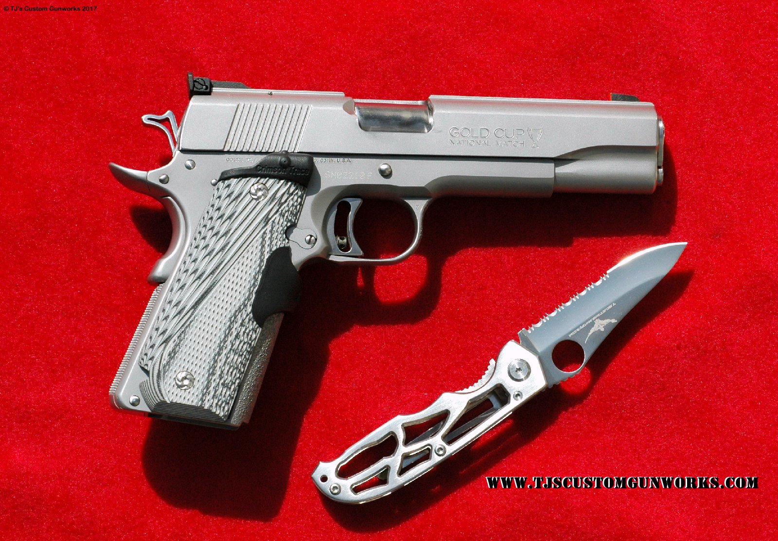 Custom Stainless Colt GoldCup .45