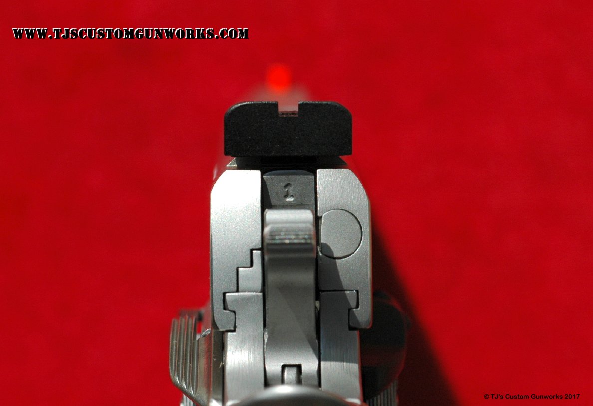 Custom Stainless Colt GoldCup .45