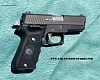  Sig P220C jewelled