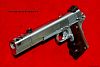 Stainless Ruger 1911 Compensated .45