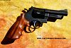 S&W 29 Black Teflon rusted