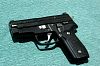 Sig P229 9mm Satin Polished Teflon