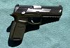 Sig P320 Custom Polished Two Tone