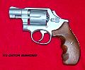 S&W10snubby1.jpg