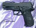 Sig226Teflon3717.JPG