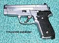 Sig229Hardchrome1.JPG