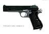 Sig210_PolishedBlue01.JPG