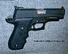 Sig220EliteAdjMeprolight1.JPG