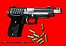 Sig220EquinoxCompensated2.JPG