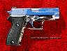 Sig225SilverBlackChrome_1.JPG