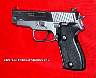 Sig225allchrome_2.jpg