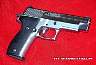 Sig226AllChromeJewelled_12001.jpg
