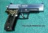 Sig226EquinoxHardchrome04.JPG