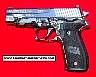 Sig226_BlkSilv2.JPG